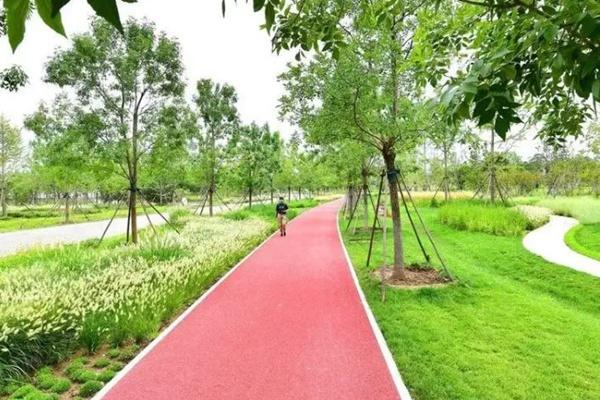北京通州适合跑步的公园有哪些