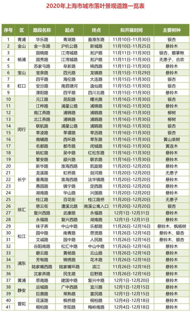 2020上海41条落叶景观道路名单一览