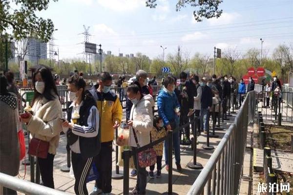 上海共青森林公园端午节芳香植物展 疫情后游玩指南