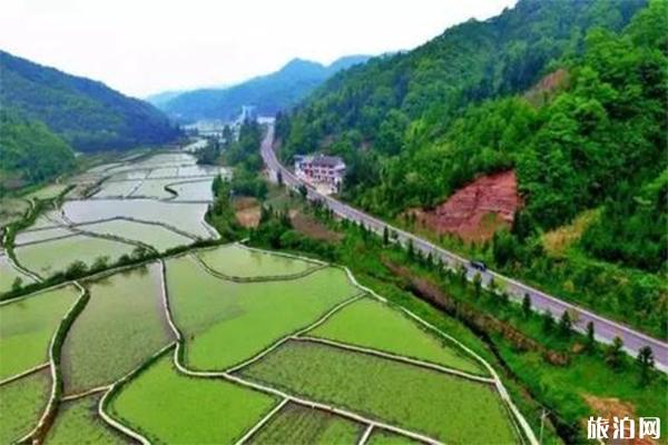 中国莼菜农业公园介绍 地址-自驾线路