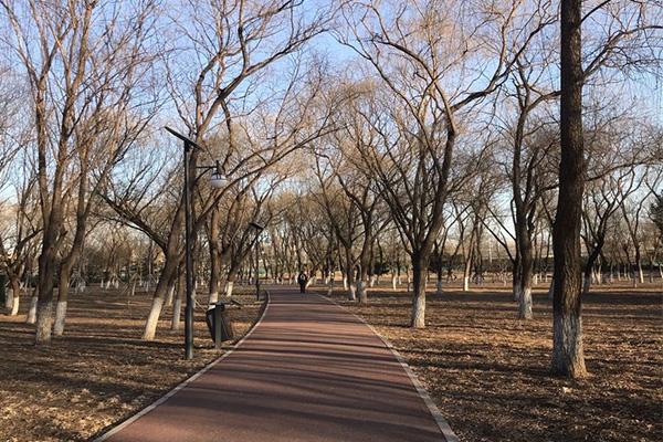 北京有哪些适合骑行的地方 北京春季骑行路线