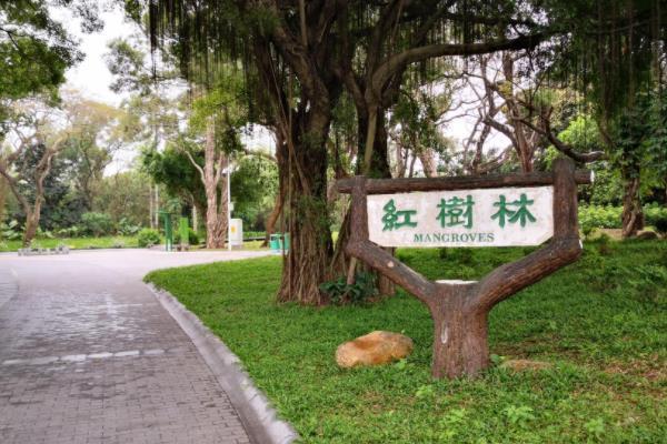 深圳有几个红树林公园 深圳红树林景点推荐