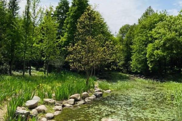 2022无锡的湿地公园有哪些