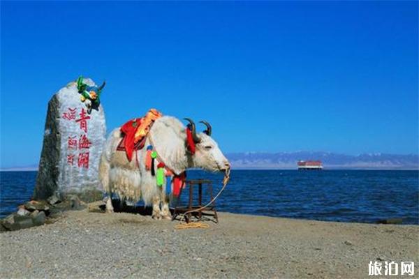 青海湖的风俗与禁忌介绍