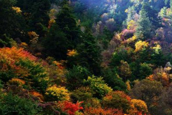 四川米亚罗红叶风景区最佳旅游时间 自驾游攻略