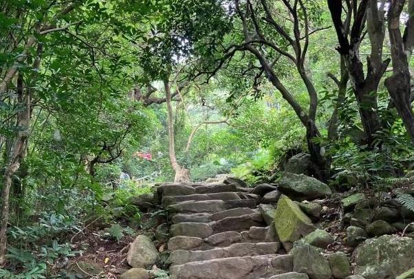 广东十大最美森林旅游目的地 梧桐山游玩路线推荐