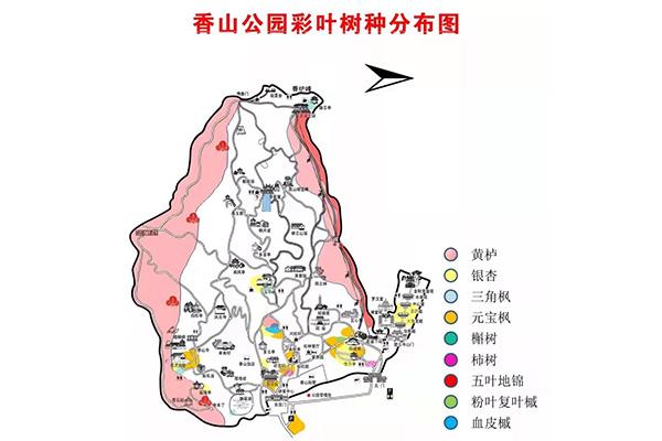 2021秋季北京香山公园登山路线推荐