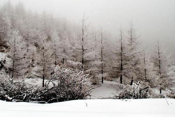 重庆看雪景的最佳地点 重庆哪里可以看雪景